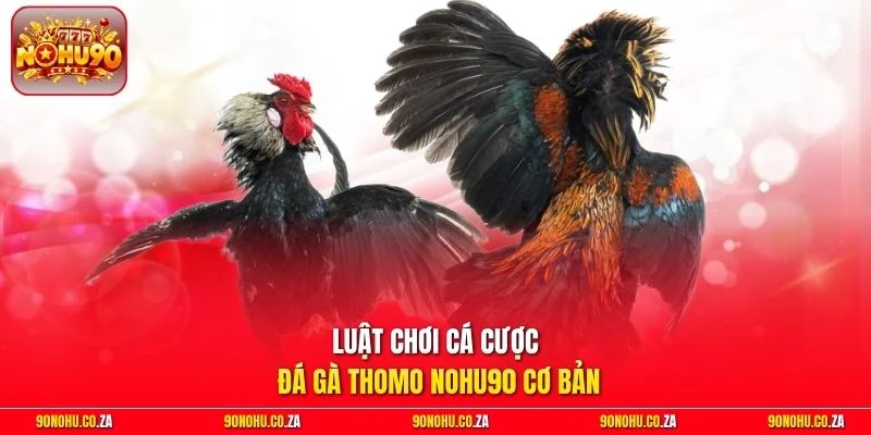 Luật chơi cá cược đá gà Thomo Nohu90 cơ bản