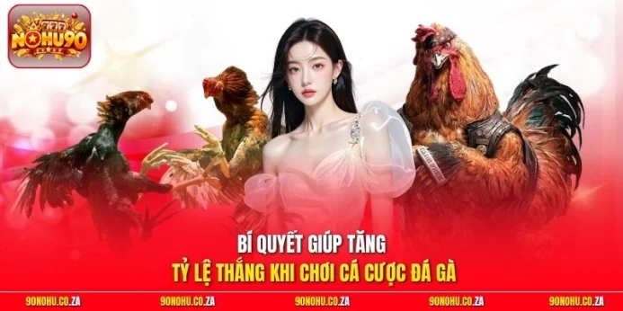 Bí quyết giúp tăng tỷ lệ thắng khi chơi cá cược đá gà